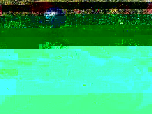 14650229_1043900965728065_4433170667899295704_n.jpg